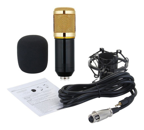 Microfono Condensador Bm 800 Profesional Envio Gratis