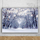 Fondo Nieve Bosque Blanco 7x5ft Para Fotografía - Navidad