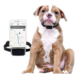 Rastreador Tracker Localizador Collar Mascotas Mini Gps