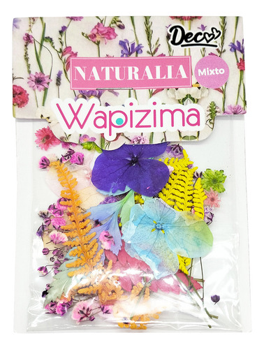 Kit Naturaleza Muerta , Diseños Variados Wapizima