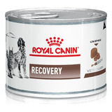 Latas Royal Canin Recovery Perros Y Gatos 145gr