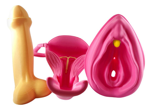 Kit Educación Sexual 3d Vulva Clitoris, Utero, Pene