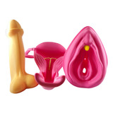 Kit Educación Sexual 3d Vulva Clitoris, Utero, Pene