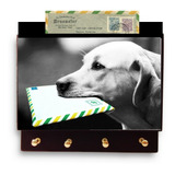 Porta Carta E Porta Chaves Grande Moderno Cachorro Envelope