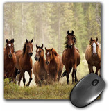 Mouse Pad Imagen 6 Caballos Marrones 8 X 8 Pulgadas