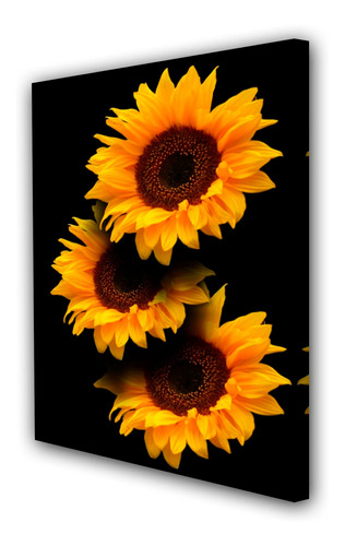 Cuadro 50x75cm Girasol Flor Planta Cultivo M5