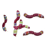 Maracas Salamin Salame Carnaval Carioca Plastico