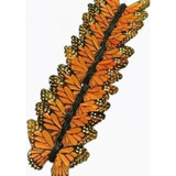 Paquete De 12 Mariposas Monarcas De Plumas Naturales
