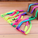 Arnes/correa/collar Ajustable Multicolor Arcoíris Para Perro