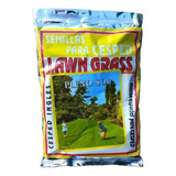 Semilla Cesped Premium Lawn Grass Pleno Sol  X 500 Grs
