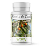 Mamica De Cadela (brosimum Gaudichaudii)  60 Cápsulas 500mg