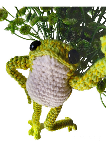 Rana Sapo Articulada Y Con Ropita Amigurumis Crochet