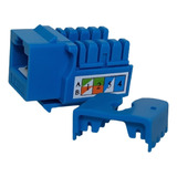 Jack Rj45 Categoria 6  Caja X 12 Unidades  Azul