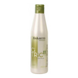 Shampoo Citric Balance Salerm 250 Ml