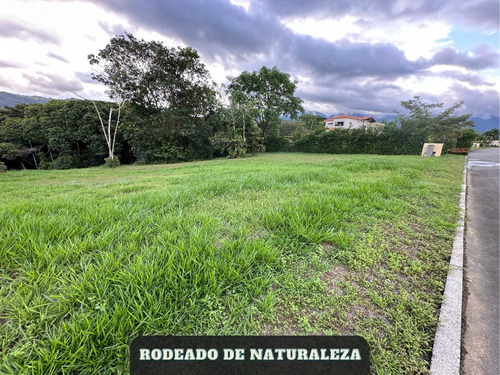 Lote A La Venta En El Condominio Casa De Campo Llanos Orientales En Restrepo - Imagen 4