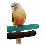 Borangs Bird Perchas Loro Soporte De Madera Natural De Arena