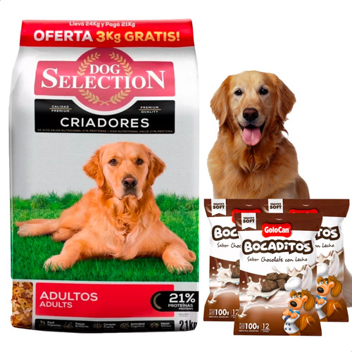 Alimento Dog Selection Perro Adulto 24kg + Bocaditos Golocan
