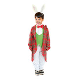 Disfraz Infantil De Conejo De Alicia En El Pais De Las Maravillas Halloween 