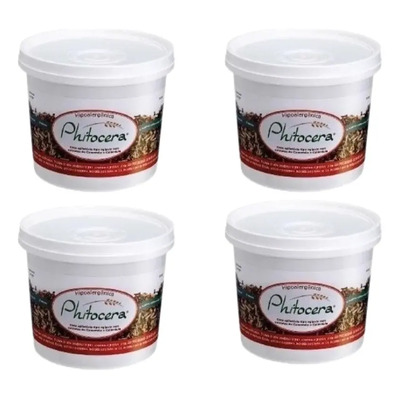Cera Lanugo Phitocera Egípcia Natural Kit Com 4 Un De 1kg