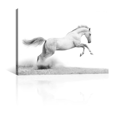 Cuadro Decorativo Animales Canvas Caballo Blanco En Desierto Blanco/gris/negro Canvas