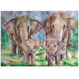 Vinilo Decorativo 60x90cm Elefante Elephant Wild M4