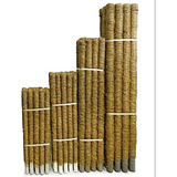 Tutores De Caña De Bambu Y Musgo Para Plantas Palo 130cm