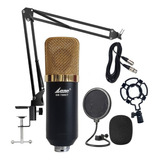 Microfono Condenser Lane Bm-700 Kit Brazo Filtro Araña Cable