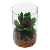 Vaso Vidro Planta Artificial Life Terrarium Transparente