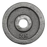 Disco Pesa Fundicion Fitness 2,5 Kg Mancuerna Barra 