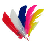 Pluma Premium Multicolor 50 Pcs Atrapasueño Souvenir Vinchas