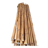 10 Varas De Bambú Decoracion Casa Adorno 1.5mt / 3cm Grosor