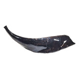 Shofar Carnero Kosher Spdf050 +envio+enseñanza 32.3