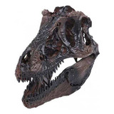 1 2x Dinosaurio Tyrannosaurus Cráneo Resina Model Fósil