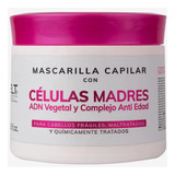 Maxybelt Mascarilla Capilar Con Celulas Madre De Adn Vegetal