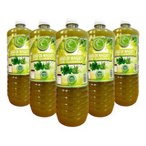 5 Jugo De Maguey Original Clorofila 1l Verde Santo Michoacán