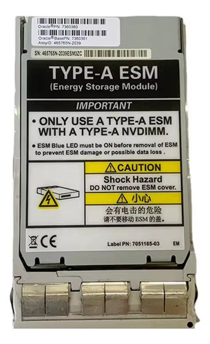  Módulo De Energía Esm Sun Oracle Fs1-2 , 7308312, Type A