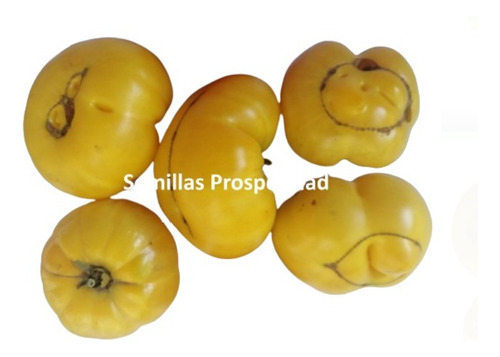 Semillas De Tomate Yellow Ruffled Orgánico Prosperidad
