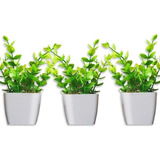 3 Vasinhos Plantinhas Eucalipto Palmeira Artificiais