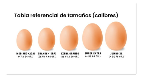 Huevos Jumbo Gallinas Libres (100 Unid)