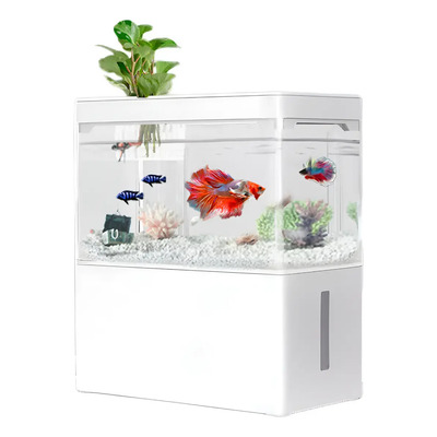 Pecera De Escritorio Con Filtro Y Luz Led Para Pez Betta | Envío gratis