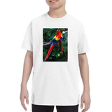 Remera De Niño Guacamayo Loro Colores Plumas Selva Aves M1