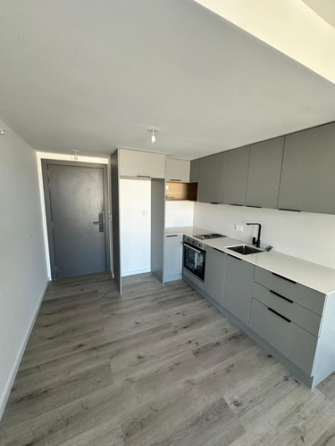 Alquiler Apartamento 1 Dormitorio Buceo En More Buceo
