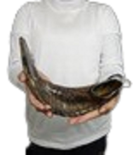 Shofar Ceremonial De-carnero-  45.7cm- Kosher (#343)