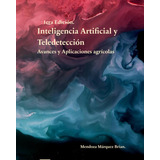 Libro: Inteligencia Artificial Y Teledetección: Avances Y Ap