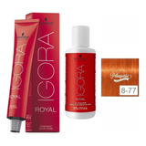 Kit Igora Royal 8.77 +1 Oxidante Coloracion Schwarzkopf