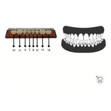 Dentes Resina Avulsos Placa. Postiços, Provisórios -inferior