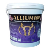 Allium Cav 10kg Núcleo Misturar Na Ração Suplemento Agrocave