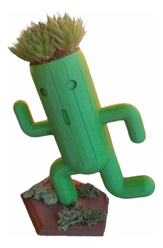 Porta Plantas Con Forma De Cactus Animado