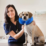 Collar Bencmate Inflable De Protección Para Perros Y Gatos -