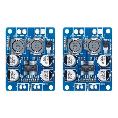 Kit 2 Módulos Amplificador Audio Tpa3118 40w Mono | MercadoLibre